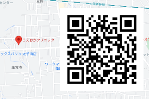 アクセスマップ